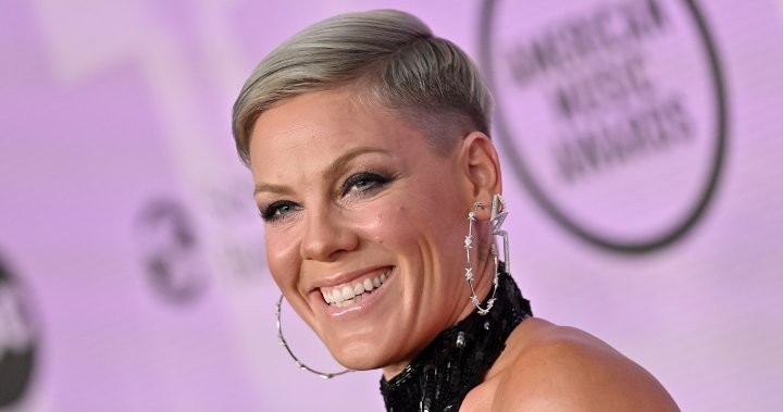 Global Pop Icon P!nk Teams Up with PEN America to Give Away 2,000 Banned  Books at Florida Concerts - PEN America