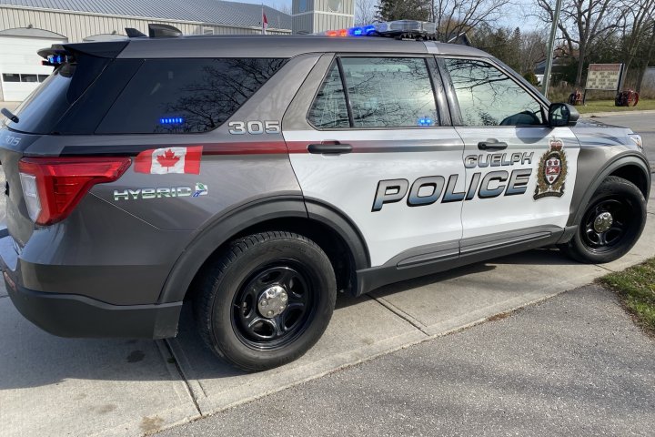 Phone used to assault employee at Guelph business: police