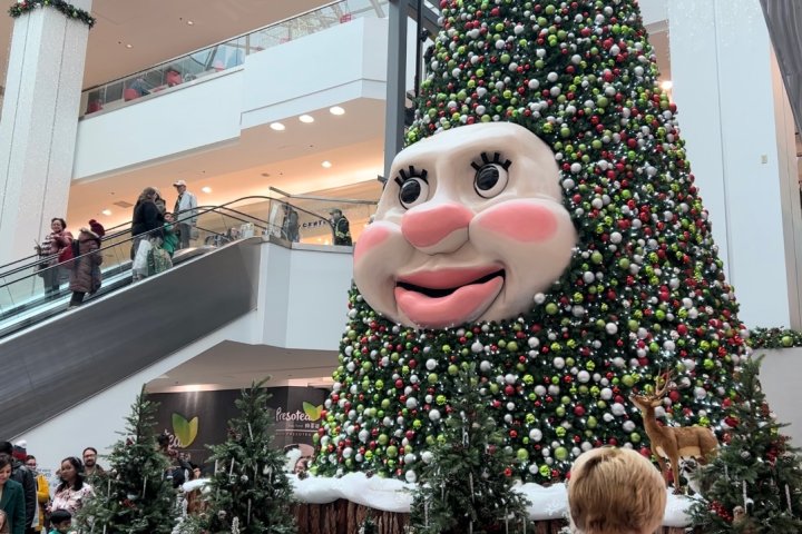 Woody the Talking Christmas Tree returns for another holiday season at N.S. mall