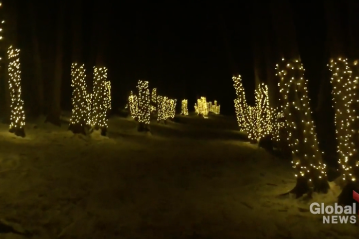 Illuminated Forest returns to Ken Reid Conservation Area in Lindsay, Ont. in December