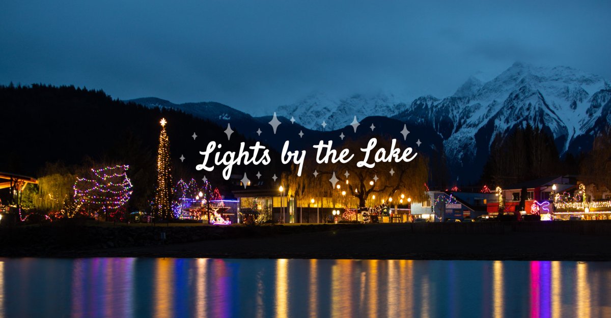 Lights by the Lake - image