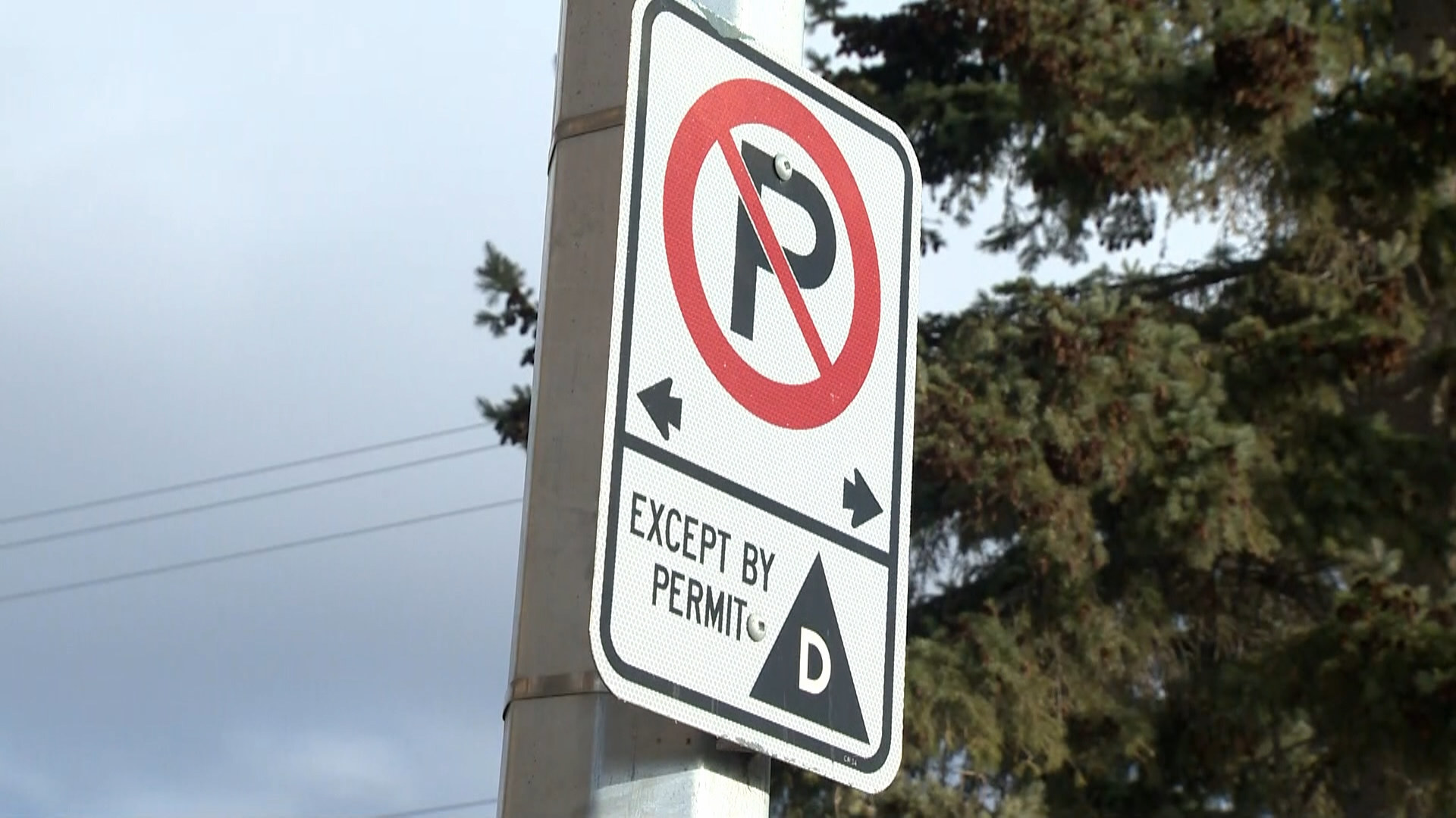 Calgary city council to consider revised residential parking program fees