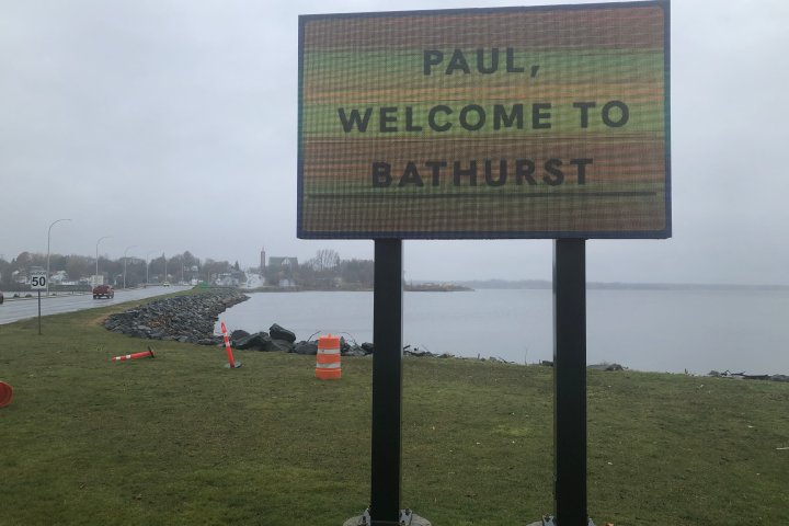 Why ‘Paul’ has gone viral, and is all anyone’s talking about in northern N.B.