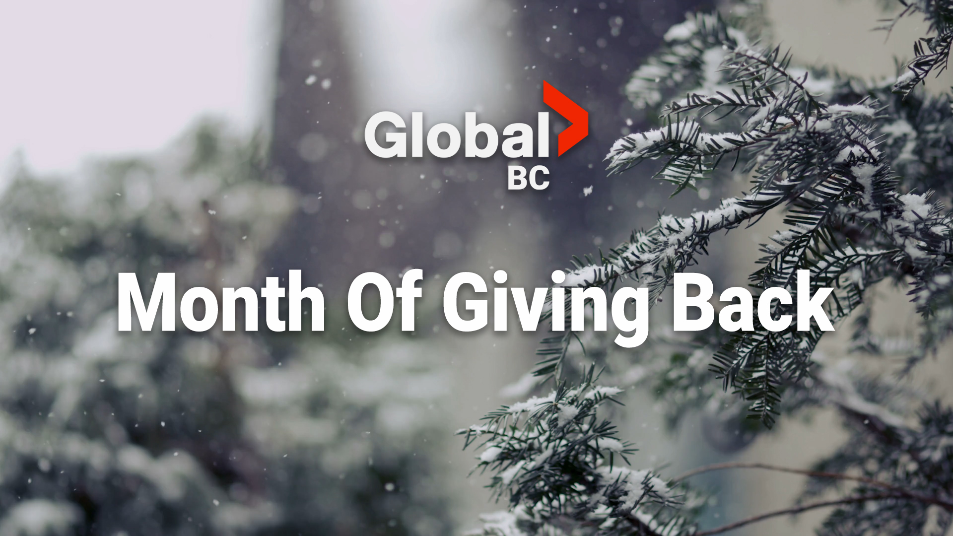 Месецът на Giving Back се завръща в Global News Morning