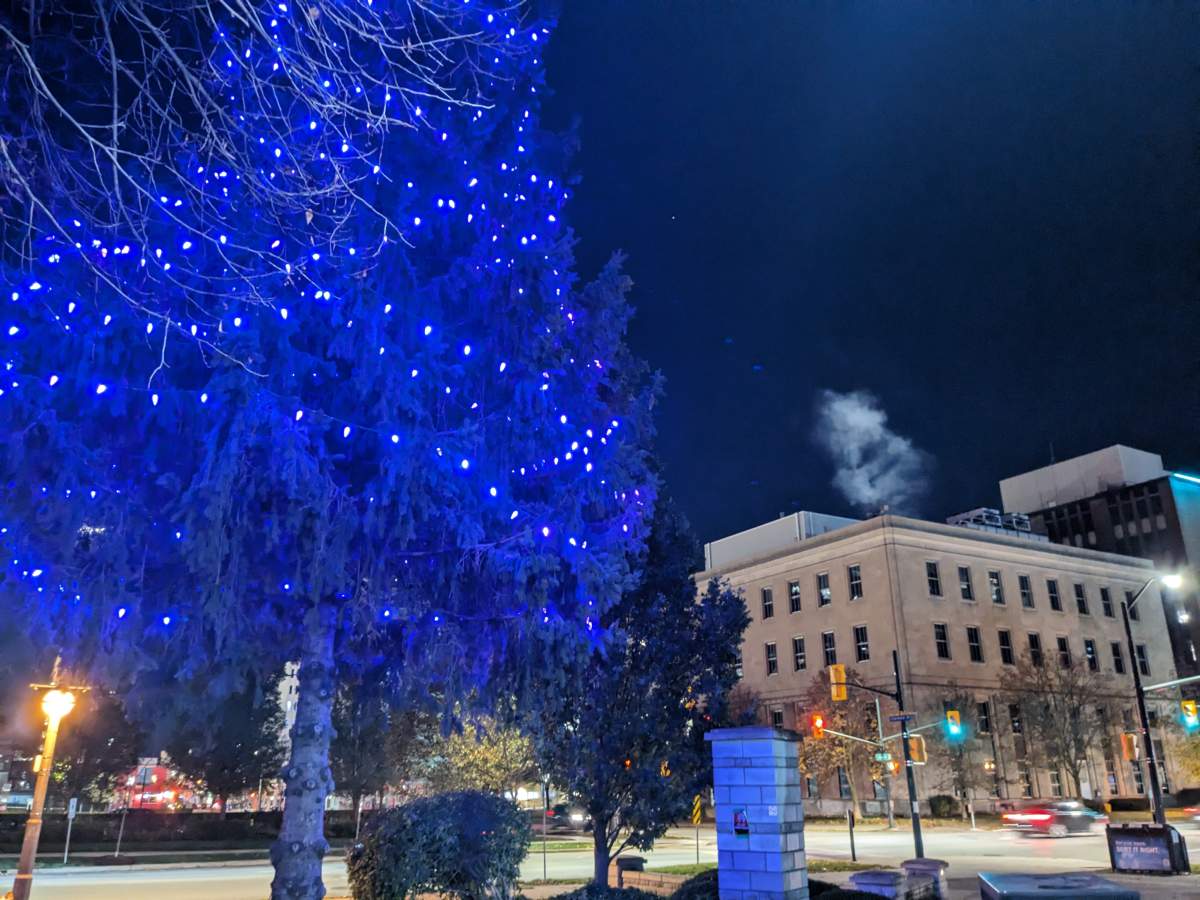 The tree will remain lit for the month of November, along with several other prominent buildings in London.