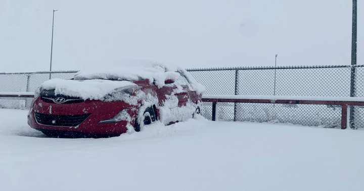 Необходими са значителни снеговалежи, за да се сложи край на сушата в Саскачеван: WSA