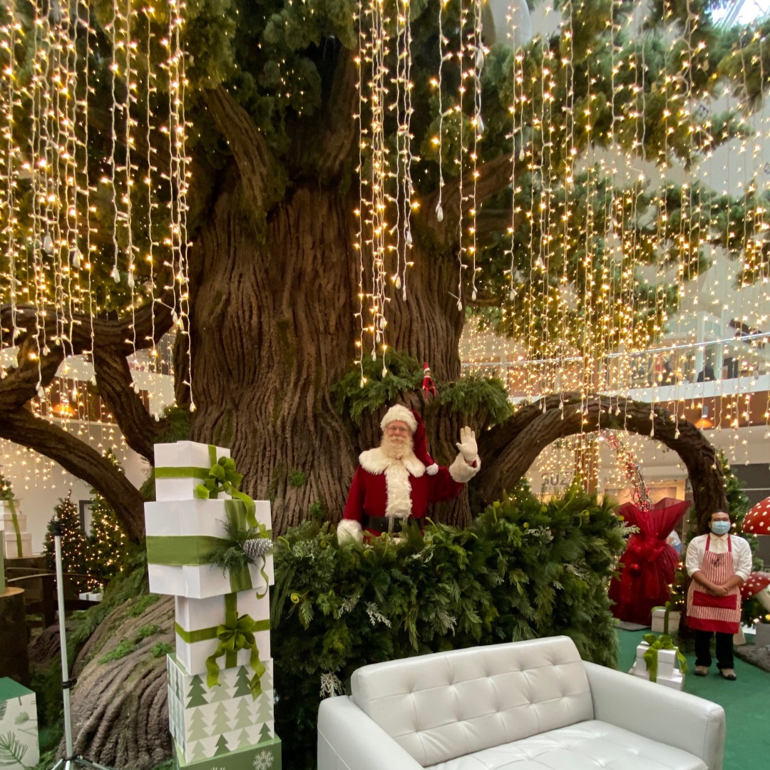 Santa’s Enchanted Forest - image