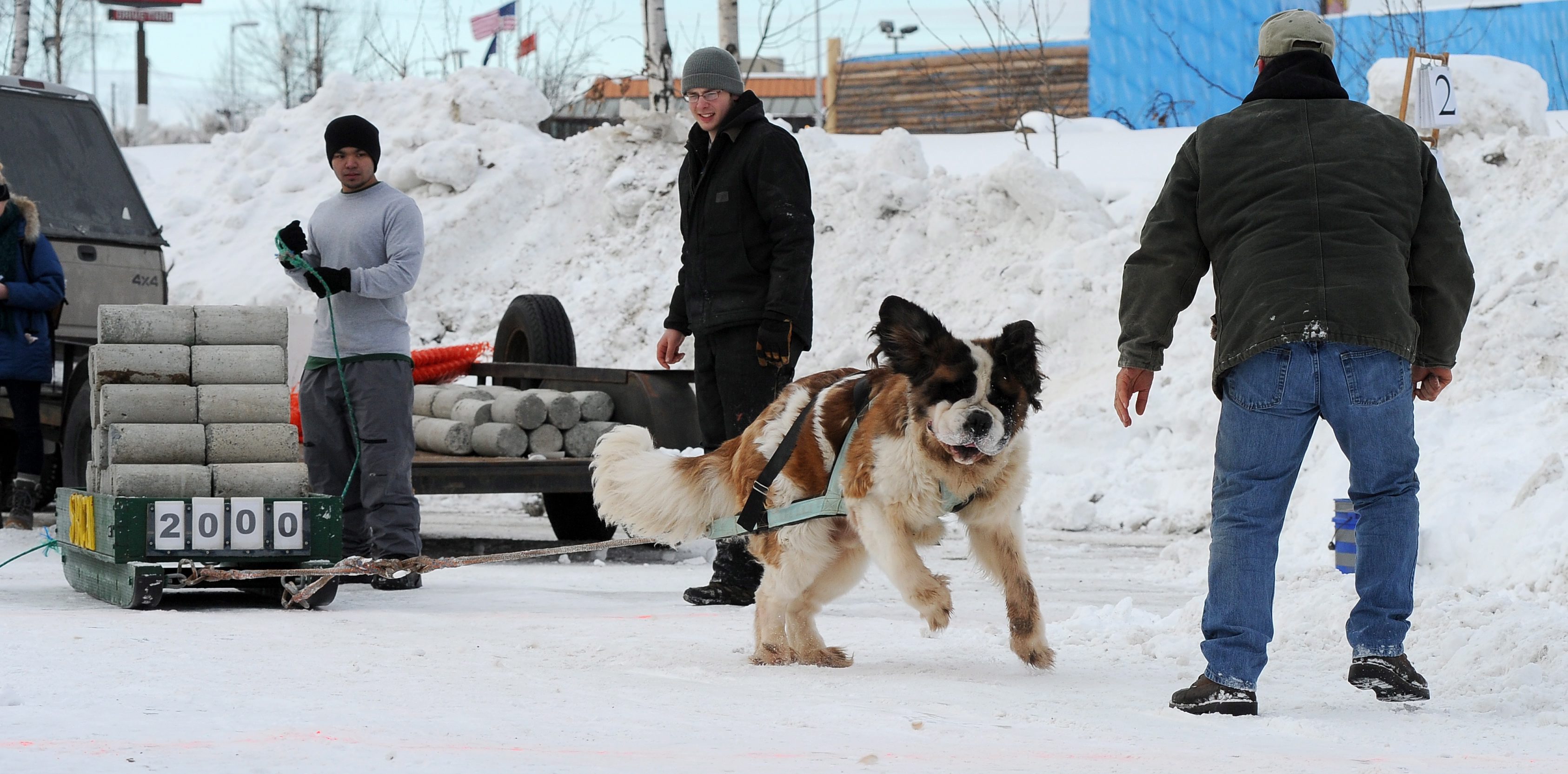 Експертите смятат че има обратно пропорционална връзка между размера на