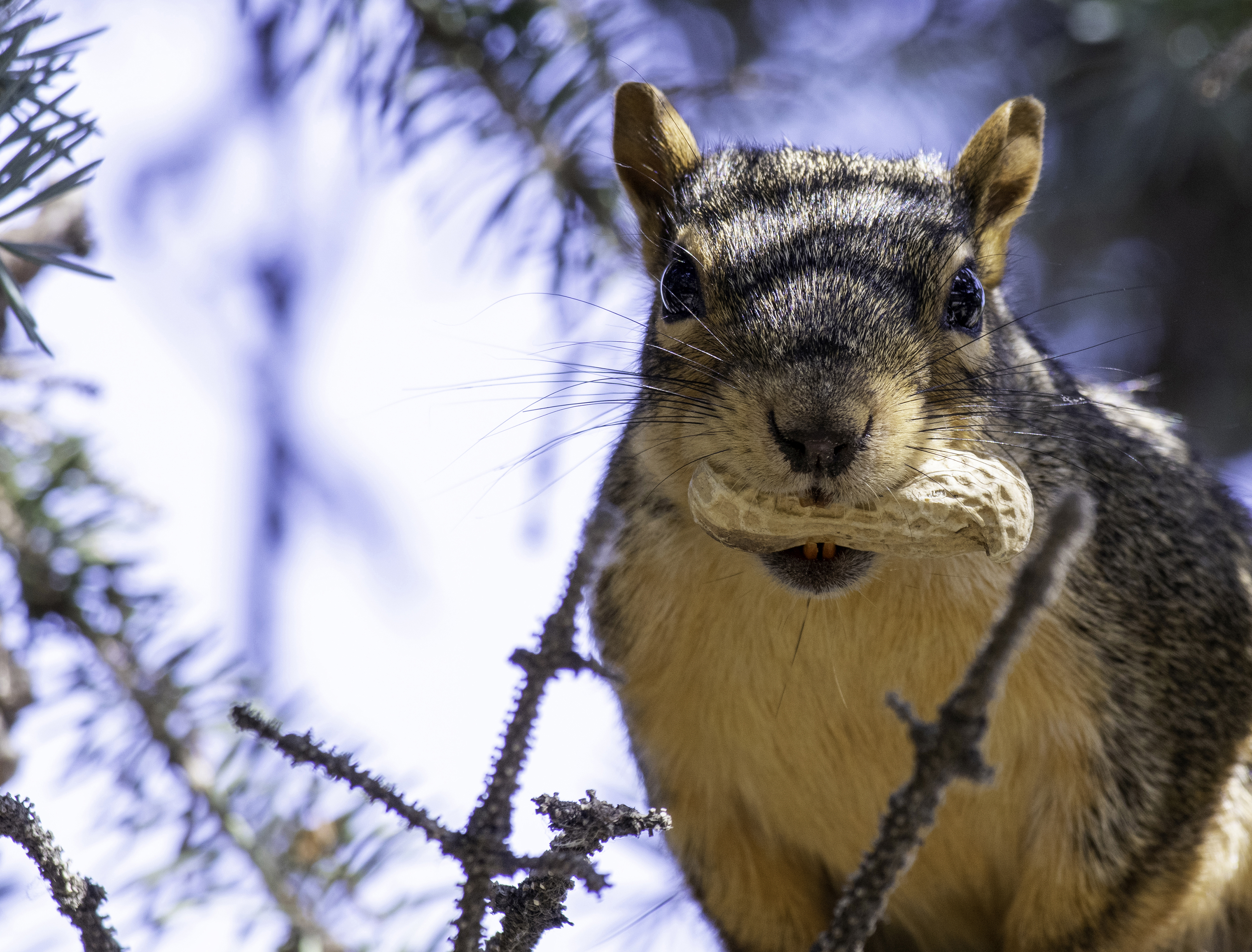 Сняг лед и студ започват да обгръщат провинцията и фотографите