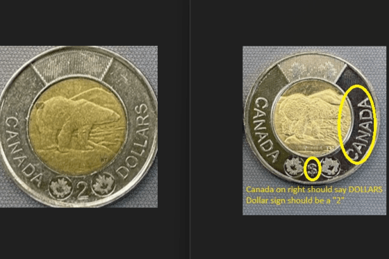 Real vs fake Toonie