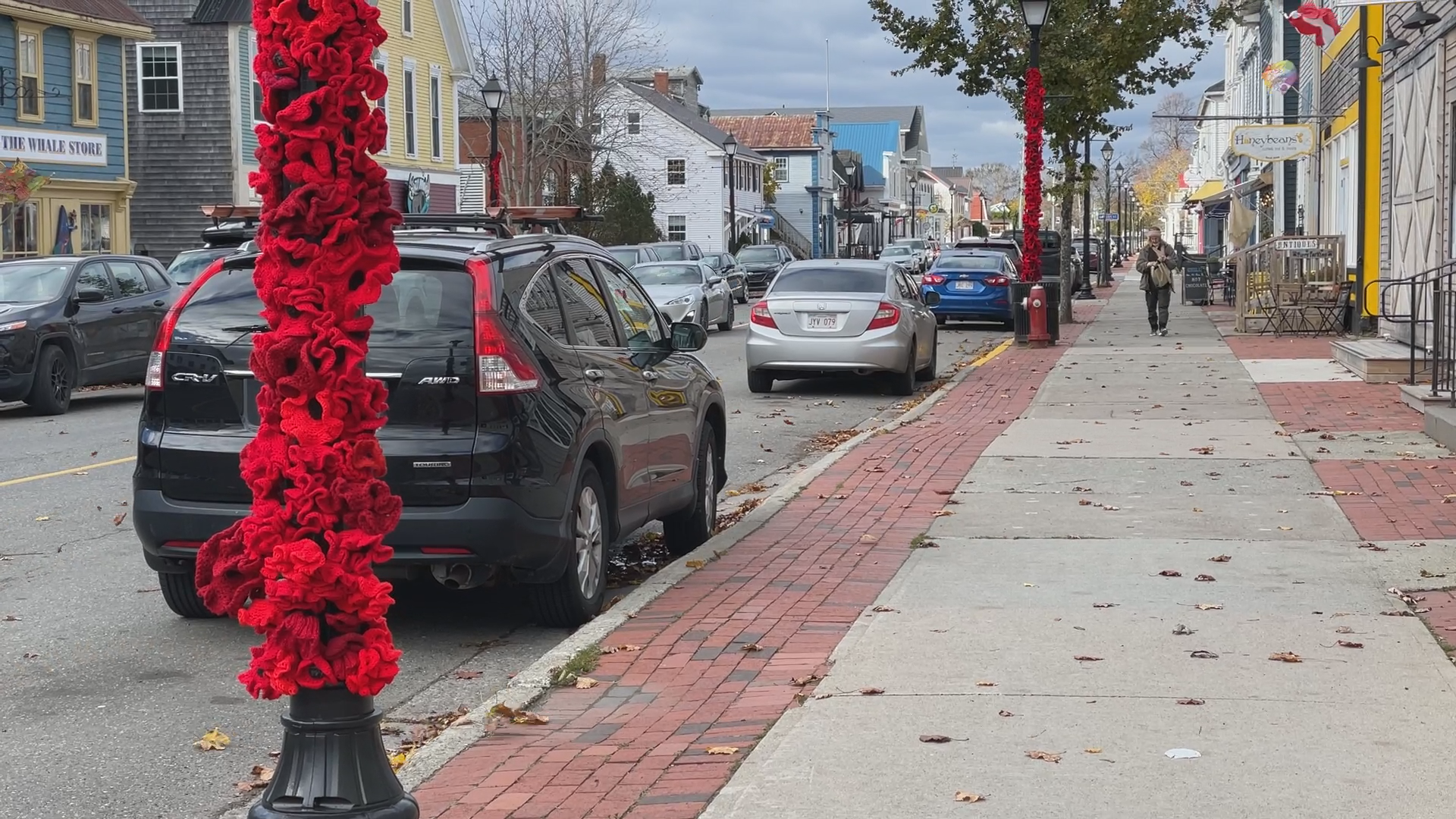 Remembrance Day: Knitters stitch a path of poppies along N.B. street