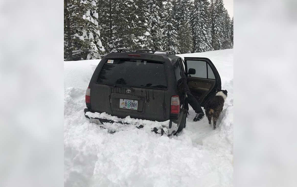Онлайн картите са чудесен инструмент за подпомагане на обществеността да