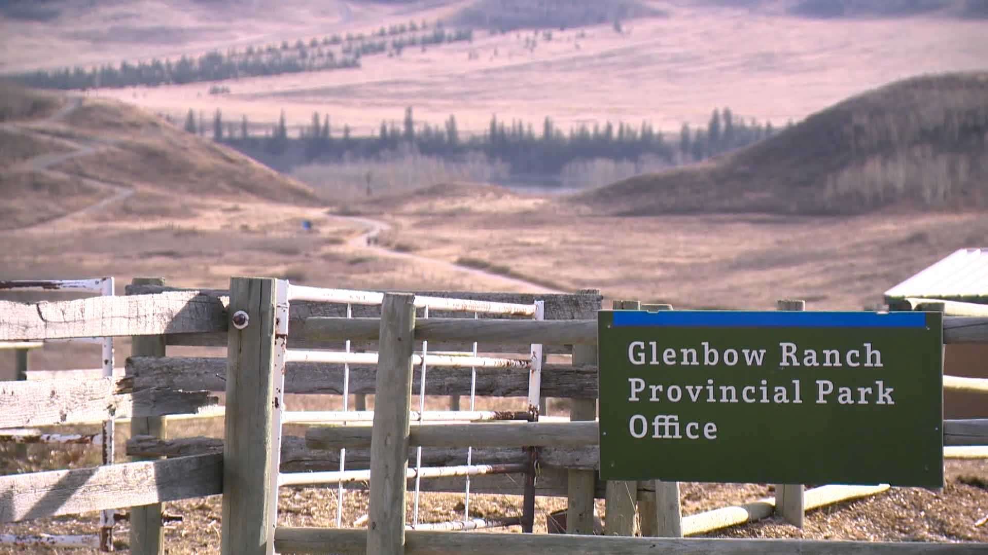 Glenbow Ranch Provincial Park at risk with reservoir option: Foundation CEO