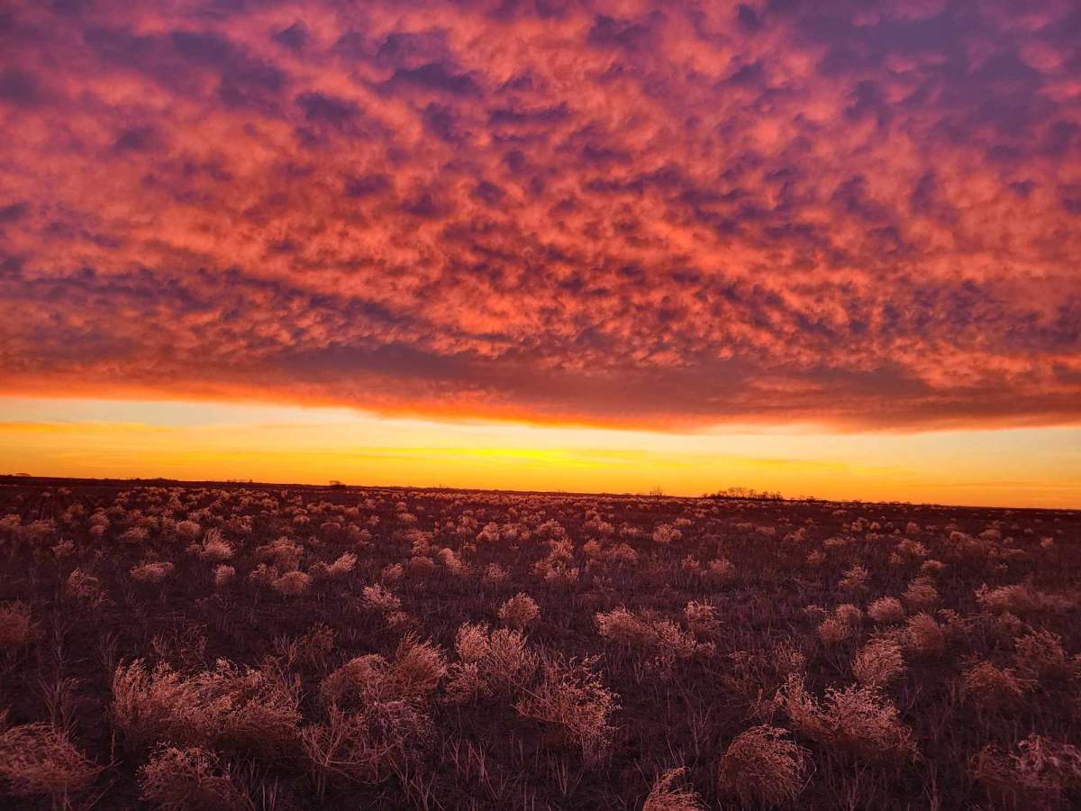 The Your Saskatchewan photo of the day for Nov. 30 was taken by Laurie Knife in Strasbourg.