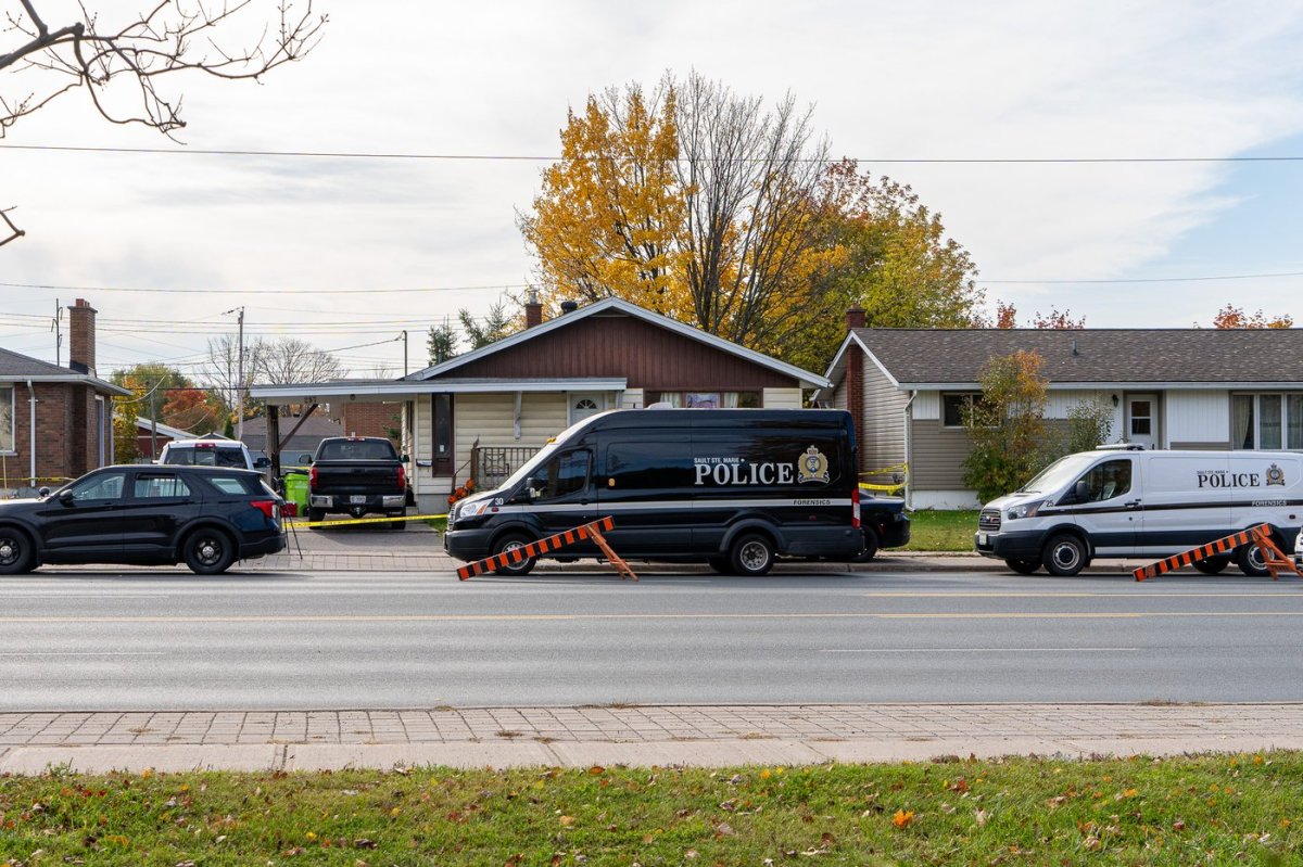Police in Sault Ste. Marie, Ont., say the man who went on a deadly shooting rampage in late October did not have an active firearms license.