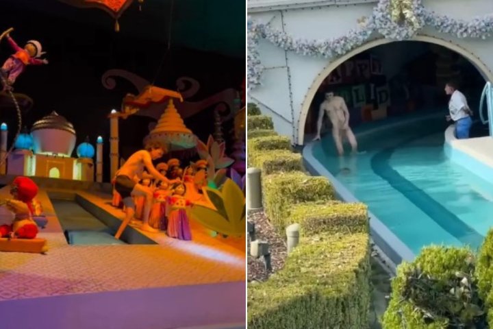 ‘It’s a Small World’ sees big fracas as streaker strips down at Disneyland