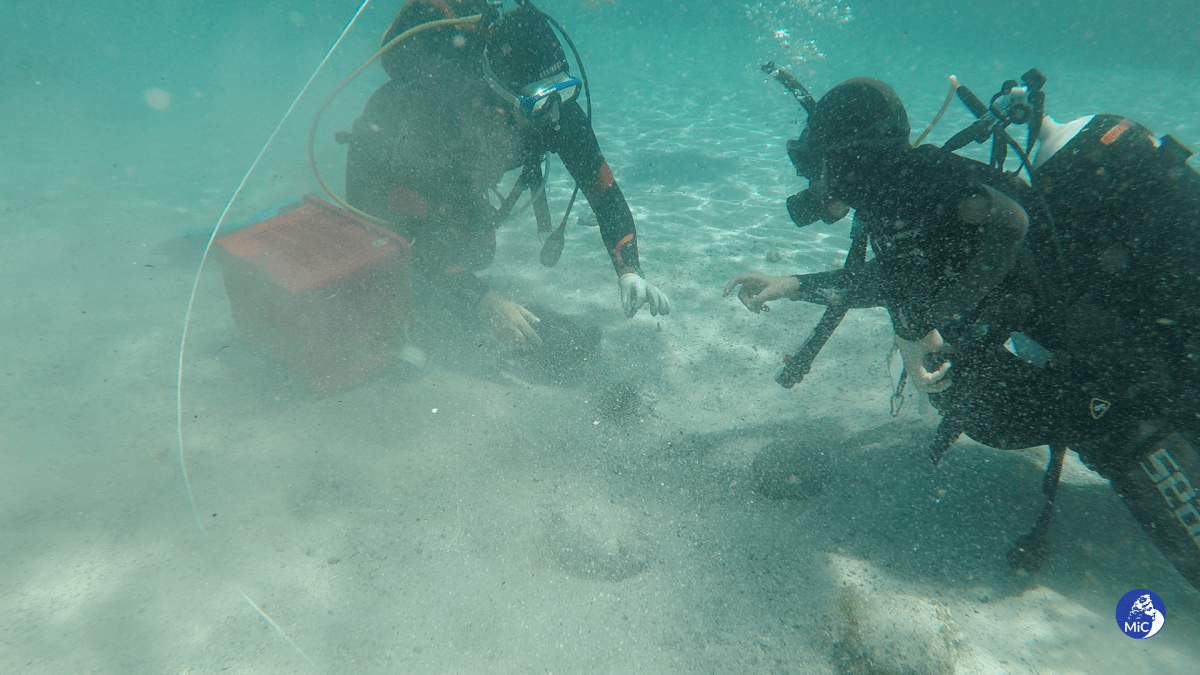 Divers are seen in gear as they retrieve the coins.
