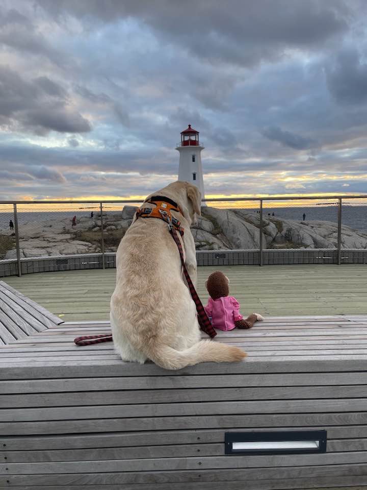 Indie and her stuffed monkey take in the view of the Peggy’s Cove lighthouse on a calm October evening.