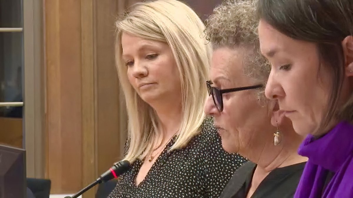 Brittany McMillan, left and Kim Dolan, middle, speak to Peterborough city council on Nov. 27, 2023 prior to council voting on a motion to declare intimate partner violence an epidemic.