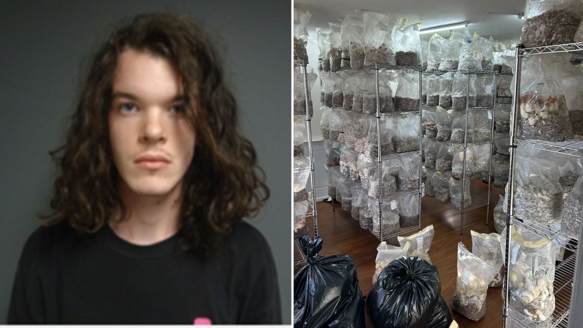 A split photo. On the left is Weston Soule. On the right is dozens of bags of psychedelic mushrooms.