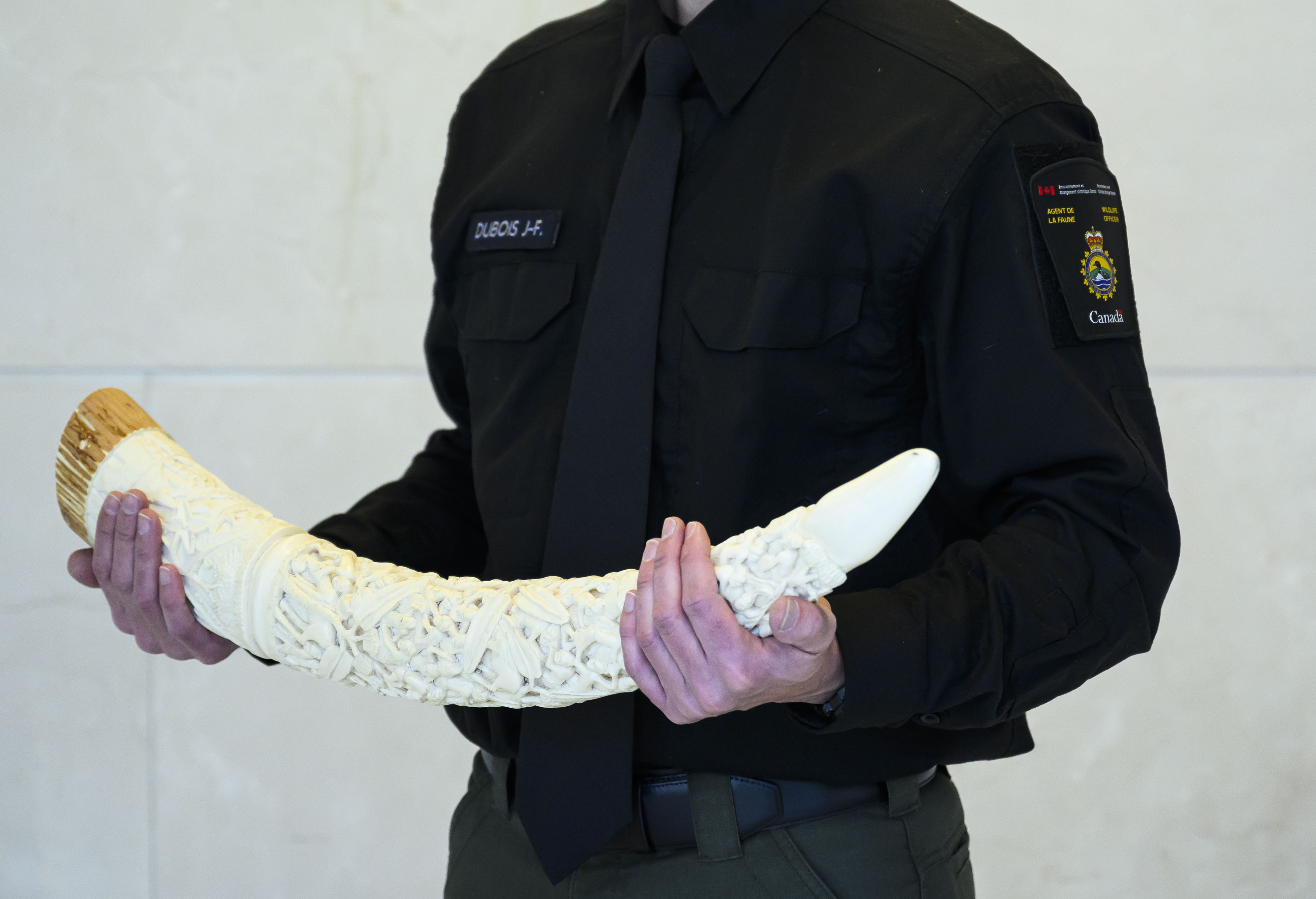Canada is restricting the trade of elephant ivory, rhino horns