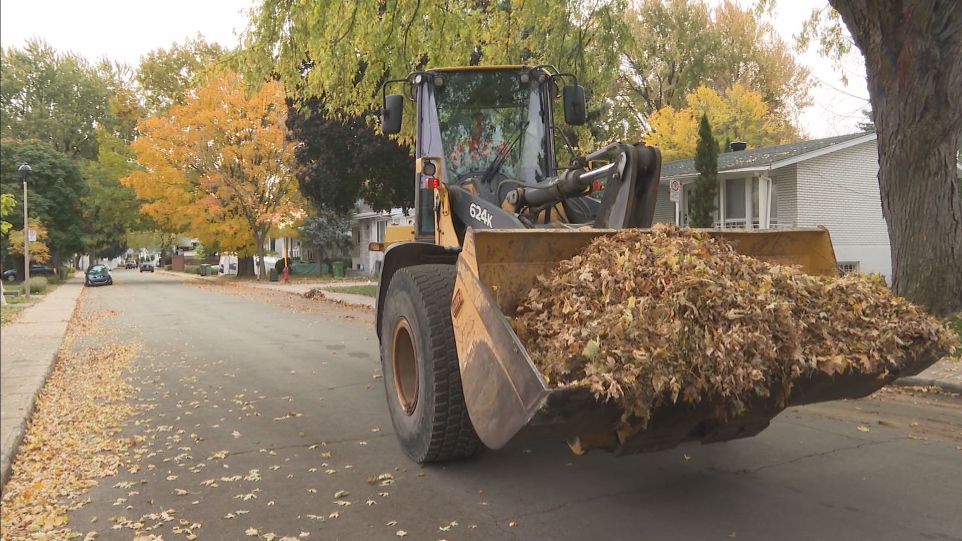 Montreal city crews race to collect thousands of f