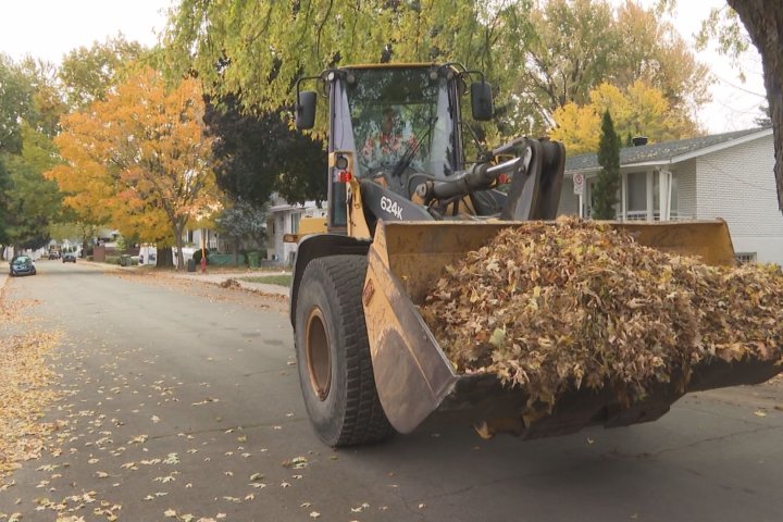 Montreal city crews race to collect thousands of fallen leaves before first snowfall