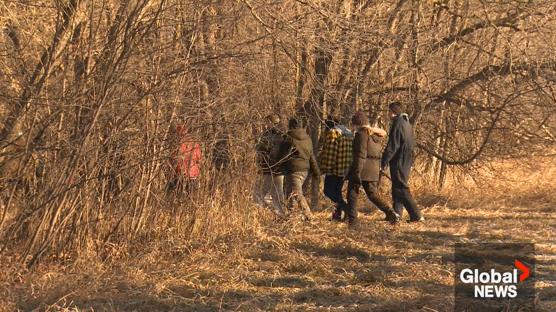 Собственикът на залесено парче земя в Сейнт Норберт каза не