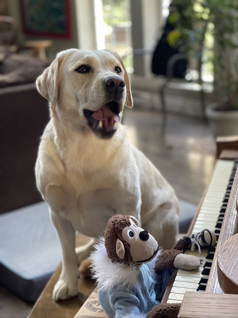 Monkey plays a tune on the piano while Indie sings along.