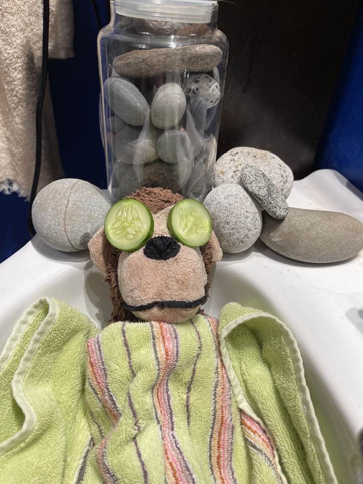 Following its retrieval from a ditch at Paddy’s Head in the St. Margaret’s Bay area, the stuffed monkey received a spa treatment in the comfort of its new home.