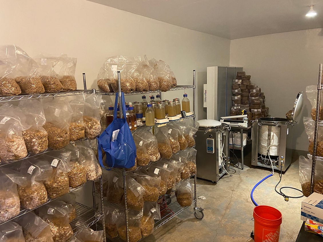Shelves of mushrooms and jars in a room.