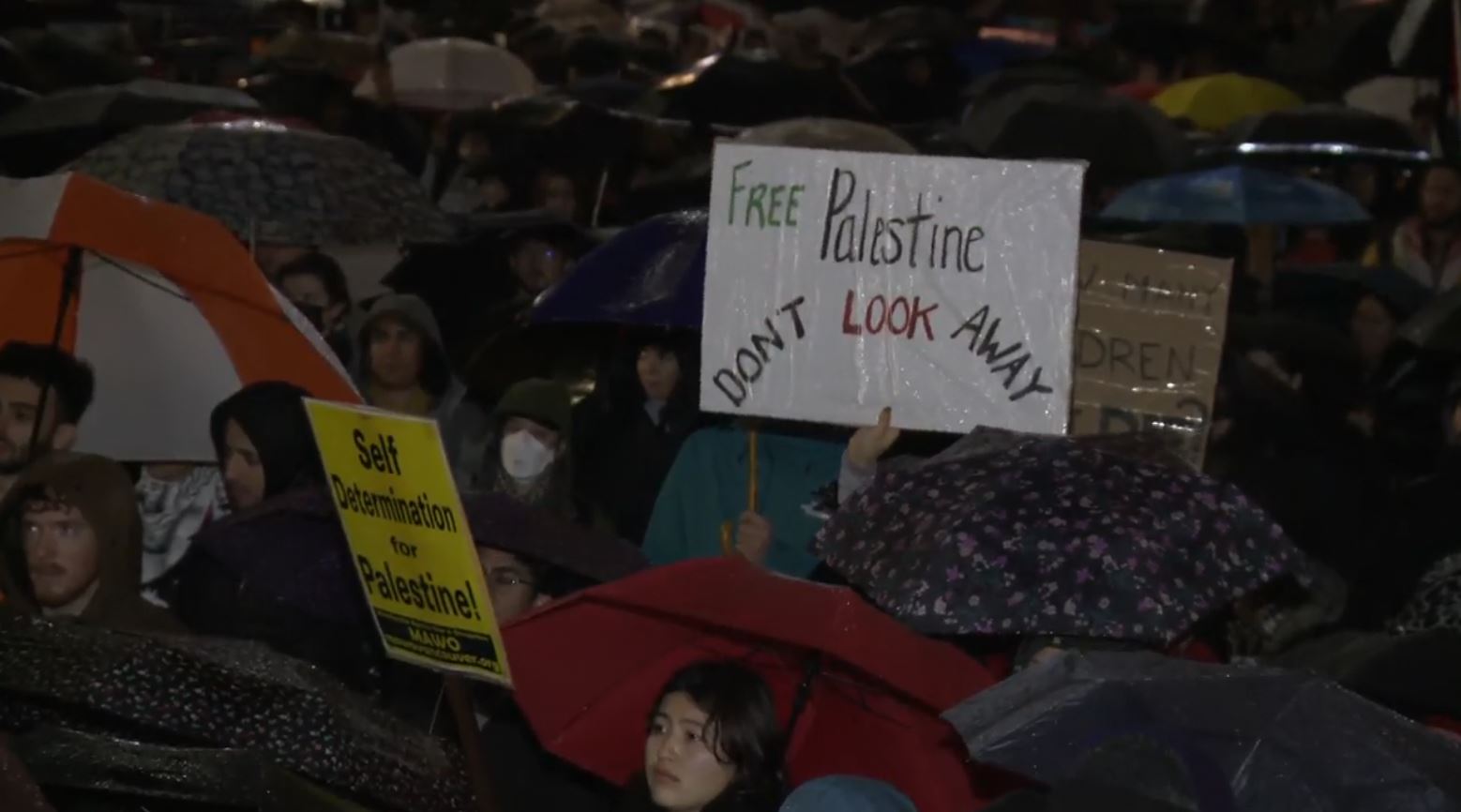 Hundreds turn out in Vancouver to call for Gaza ceasefire