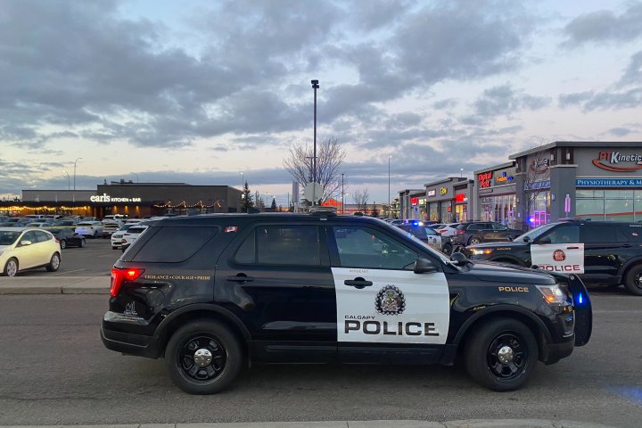 Large police presence outside southeast Calgary restaurant after shooting