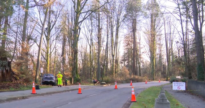 Traffic impacts expected at Stanley Park as thousands of trees being removed