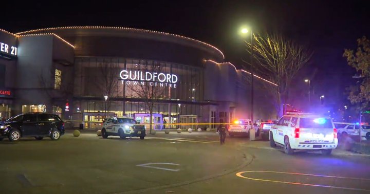 两名年轻男子因11月份在素里的Guildford商场刺伤事件被控