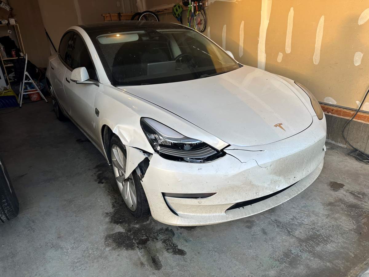 Tesla worse for wear after hitting deer