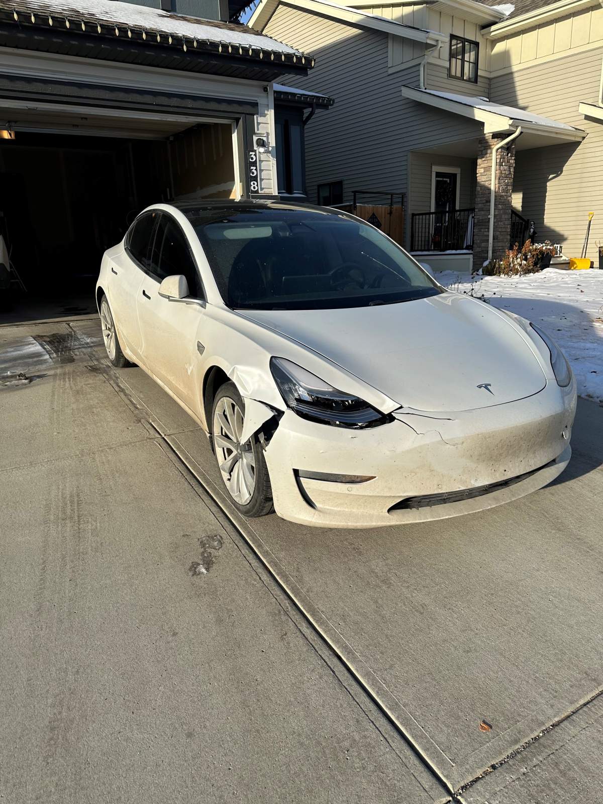 Alberta driver struggling with insurance woes after striking deer - image