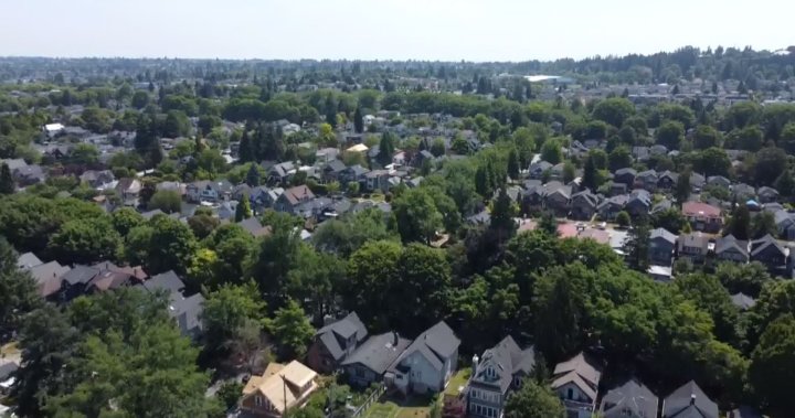 Жилищният законопроект на NDP „подкопава 10 години градоустройствено планиране“: кмет на Langley Township