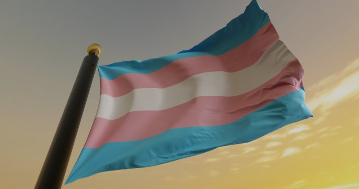 Brantford Transgender Flag Raising - AIDS Network