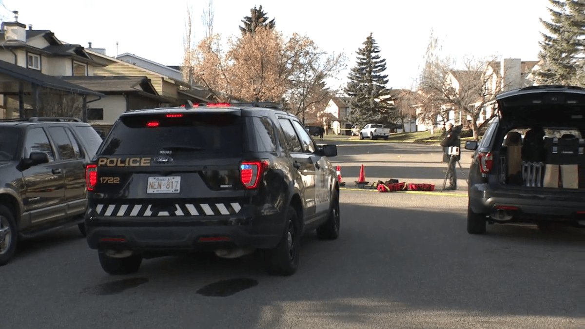 Police are investigating a shooting that allegedly hit two houses in northwest Calgary early Sunday morning.