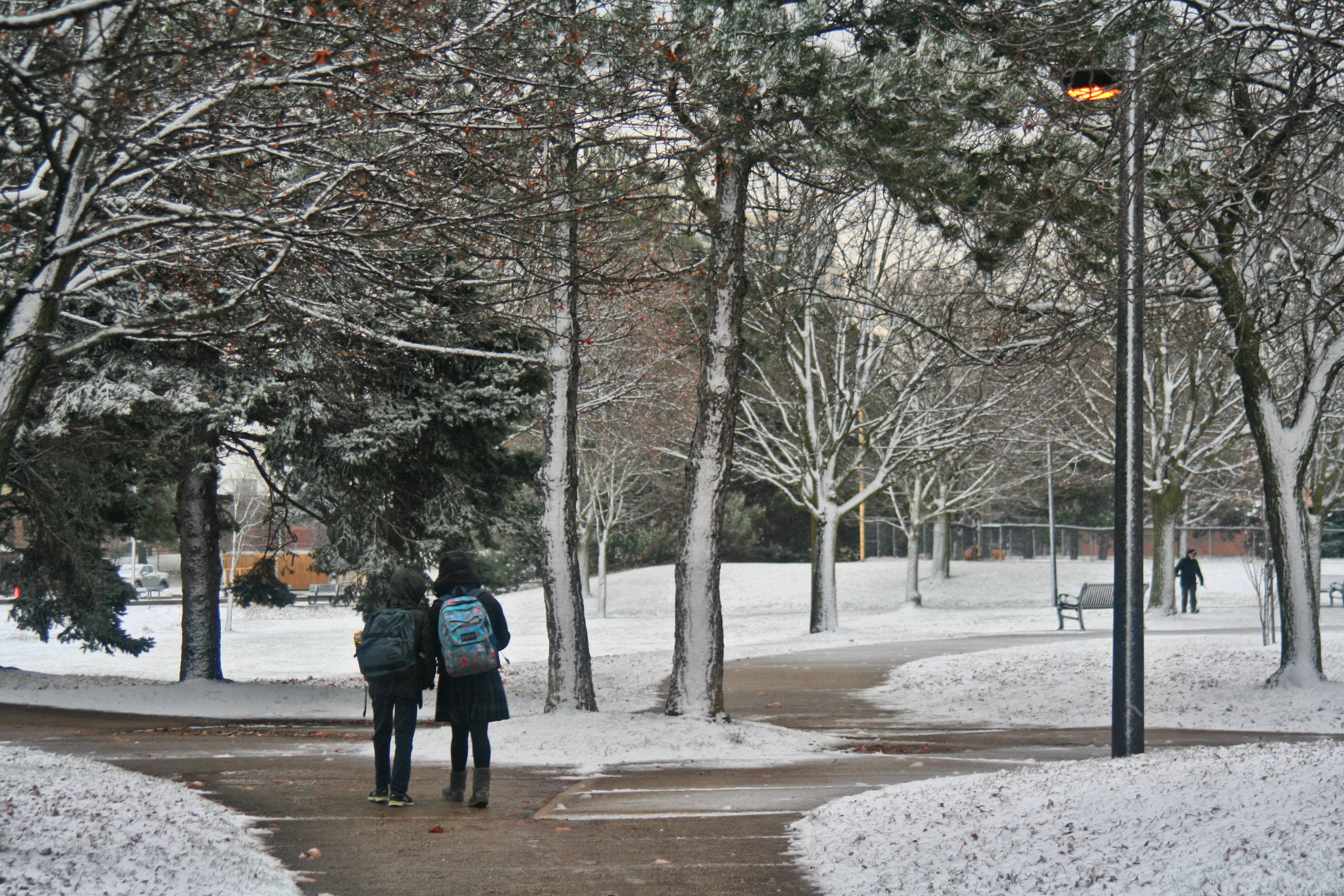 Хладните нощи и покрити със сняг склонове може да не