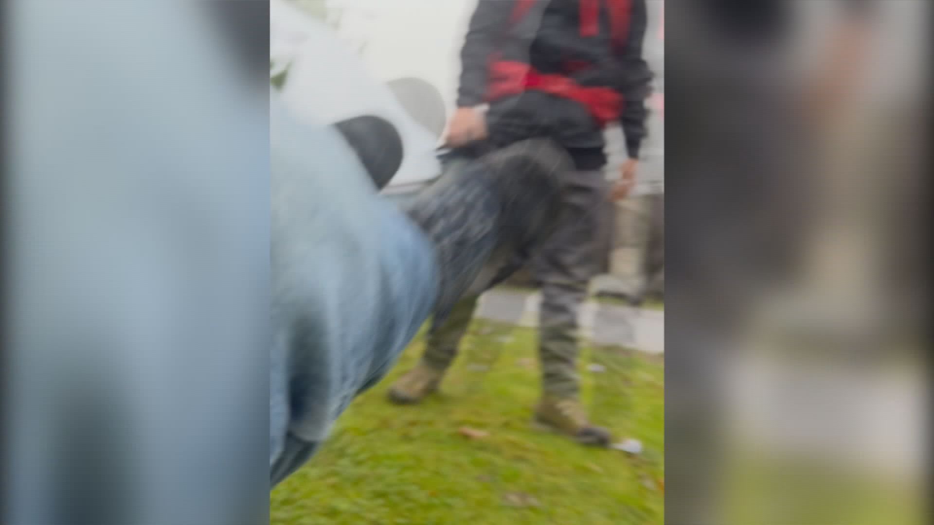 Alleged Racially Motivated Assault Caught On Video In Surrey, B.C. On ...