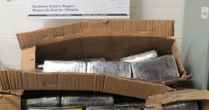 Мъж от Брамптън е обвинен след 52 кг предполагаем кокаин, конфискуван на границата: полицията