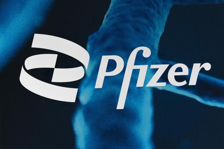 Pfizer shares sink on declining demand for COVID vaccines, treatment