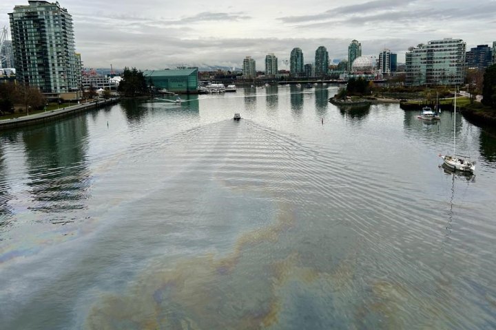 Cleanup winding down on False Creek mystery spill, but source remains unknown