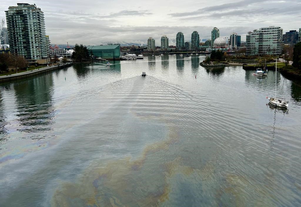 A sheen of pollution can be seen on the surface of Vancouver’s False Creek on Dec. 5.