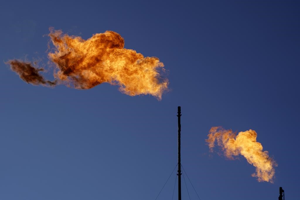 Flares burn off methane and other hydrocarbons at an oil and gas facility in Lenorah, Texas, Friday, Oct. 15, 2021.  