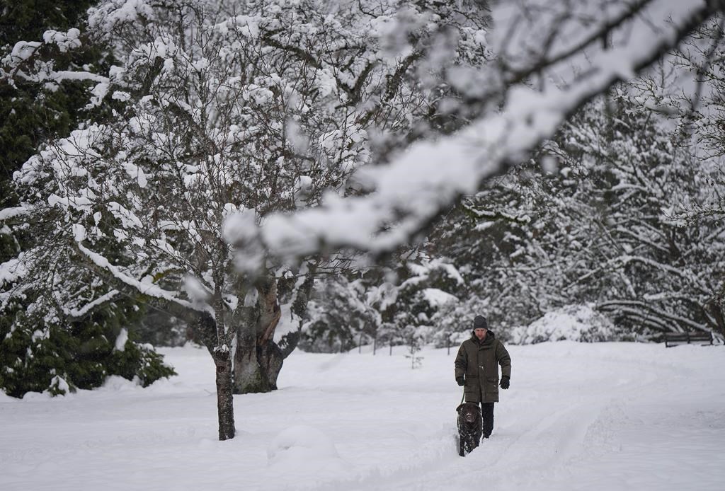 B.C. school closures Thursday due to South Coast snow and ice BC