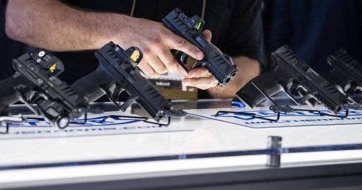 Либерален законопроект за закрепване на замразяване на пистолети, целенасочени оръжия призраци, приети от Сената