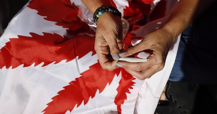 Все повече канадци купуват канабис само от законни източници, като се позовават на безопасността: StatCan